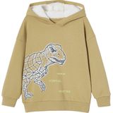 Vertbaudet Jongenssweater met dinomotief en sherpagevoerde capuchon