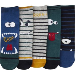 Huissokken - Set van 5 - Multikleur - Zacht Tricot - Jongens