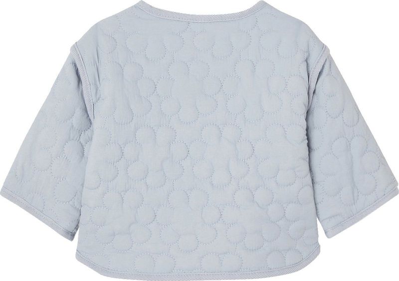 Gewatteerd - Babyvest - Lichtblauw - 100% Polyamide - Drukknoopsluiting, Gerecycled Polyester Vulling