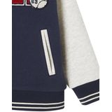 Vertbaudet Teddy-sweatshirt in fleece voor jongens met lusbadge