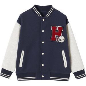 Vertbaudet Teddy-sweatshirt in fleece voor jongens met lusbadge