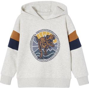 Vertbaudet Grafische hoodie met colorblock mouwen voor jongens