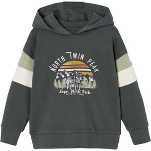 Vertbaudet Grafische hoodie met colorblock mouwen voor jongens