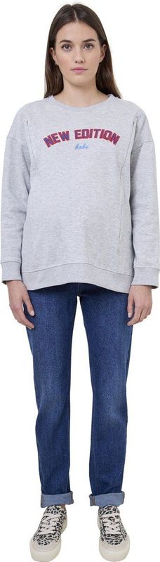 New Edition - Sweater - Grijs - Fleece - Ronde Hals