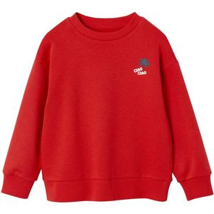 Vertbaudet - Ciao Ciao - Jongenssweater - Met Vakantiemotief - Ronde Hals - Lange Mouwen