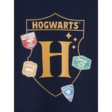 Harry Potter - Jongenssweater - Leiblauw - Ronde Hals - Lange Mouwen - Fleece