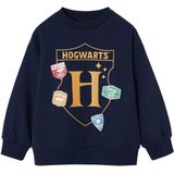 Harry Potter - Jongenssweater - Leiblauw - Ronde Hals - Lange Mouwen - Fleece