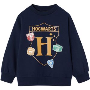 Harry Potter - Jongenssweater - Leiblauw - Ronde Hals - Lange Mouwen - Fleece