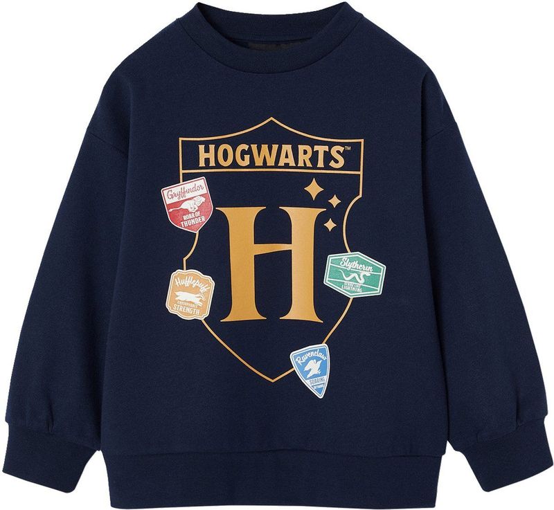 Harry Potter - Jongenssweater - Leiblauw - Ronde Hals - Lange Mouwen - Fleece
