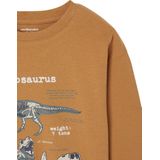 T-shirt - Pecannoot - Lange Mouwen - Print met Reliëf - Voor Jongens