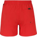 Quiksilver - Everyday Volley - Zwembroek - 15 inch - Gerecycled Super Suede