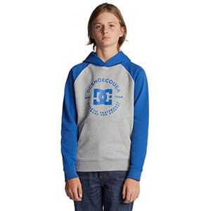 Dc schoenen Hoodie Boy Grijs 16/XL