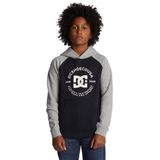 DC Shoes Kapuzensweatshirt "DC Star Pilot"