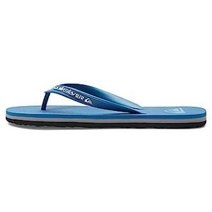 Quiksilver Molokai Core sandalen voor heren, blauw 2, 47 EU