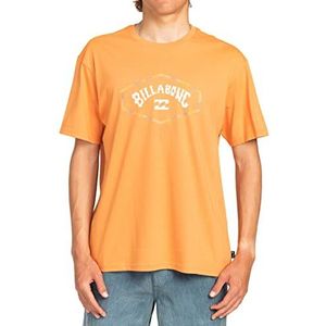 Billabong Exit Arch T-shirt Met Korte Mouwen