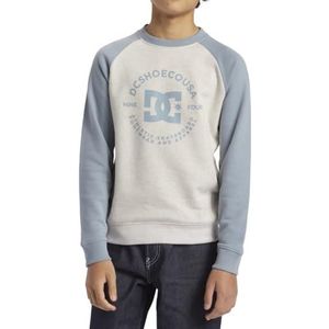 DC Shoes Dc Star Pilot Raglan Crew Boy Sweatshirts voor heren