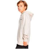 Quiksilver Basic Sweatshirt Wit Man