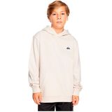 Quiksilver Basic Sweatshirt Wit Man