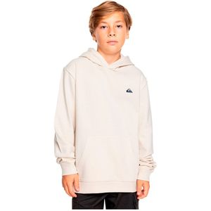 Quiksilver Basic Sweatshirt Wit Man