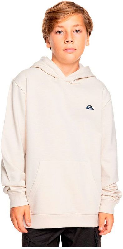 Quiksilver Basic Sweatshirt Wit Man