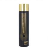 Sebastian Professional Dark Oil Shampoo