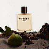 Burberry - Hero - Deodorant Stick - 75 ml