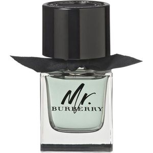 Burberry Mr. Burberry Eau de Toilette (EdT) Natural Spray 50ml