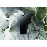 Yves Saint Laurent - Y - Eau De Parfum - 50ml