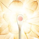 Helena Rubinstein - Prodigy Cell Glow Concentrate - Serum - 50ml