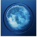 Biotherm - Force - Lichaamsbehandeling - 100ml - Revitaliserende Formule