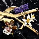 Yves Saint Laurent Libre Intense Eau De Parfum 50ml