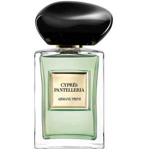 Th Yulong Eau de Toilette by Armani A Captivating Fragrance for Women 100 ml