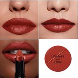 Armani - Lip Power - Lippenstift - CEDAR - 3 g