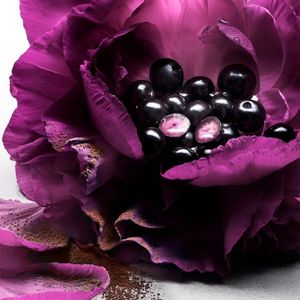 Lancôme - La Nuit Trésor Le Parfum 50 ml Dames