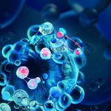 Biotherm - Blue Peptides Reshaper Ogen en Lippen - 15ml