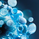 Biotherm - Aquasource Hydra Barrière Crème - Gezichtscrème - 30ml