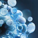 Biotherm - Aquasource Hydra Barrière Crème - Gezichtscrème - Hydraterend - 50ml