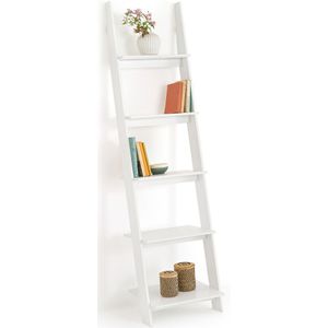 Wandbibiliotheek in ladder model Domeno