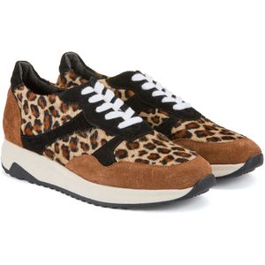 Leren sneakers, luipaardprint LA REDOUTE COLLECTIONS. Leer materiaal. Maten 41. Kastanje kleur