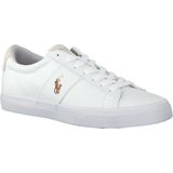 Polo Ralph Lauren - Sayer Sneakers - Marineblauw - Stof - Vetersluiting