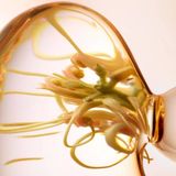 Lancaster - Skin Essentials - Reinigingsgel - 400ml - Hydraterend