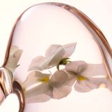 Lancaster - Skin Essentials - Softening Perfecting Toner - 400 ml