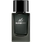 BURBERRY - Mr. Burberry Eau de Parfum 100 ml Herren (699.9 € / 1 l)