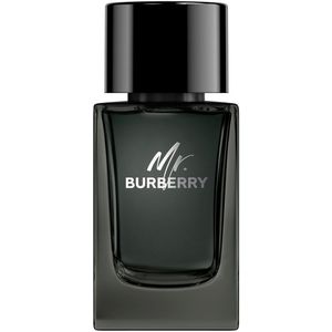 Burberry Mr. Burberry Black Eau de Parfum voor Heren 100 ml