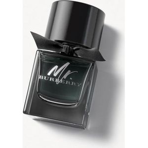 Burberry Mr. Burberry Eau de Parfum (EdP) Natural Spray 50ml