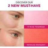 Bourjois - Little Round Pot Blusher - Blusher - Rozig - 2.5 G