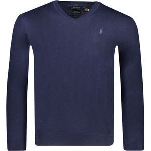 Polo Ralph Lauren, Heren, Truien, Blauw, Maat: M