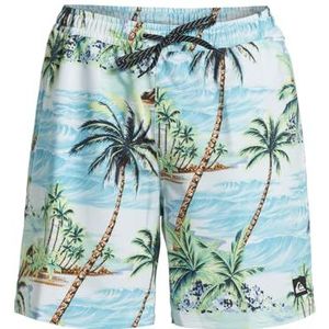 Quiksilver Heren Surfsilk Mix Volley 17nb Shorts (Pack van 1)