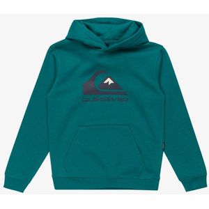 Quiksilver - BIG LOGO HOODIE - Vest - Groen - Jersey - Met Capuchon