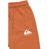 Quiksilver - Easy Day - Korte Sportbroek - Oranje - 16 Years Jongens